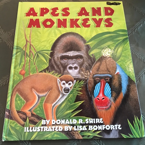 3 Hardcover Children’s Books - Picture 2 of 8